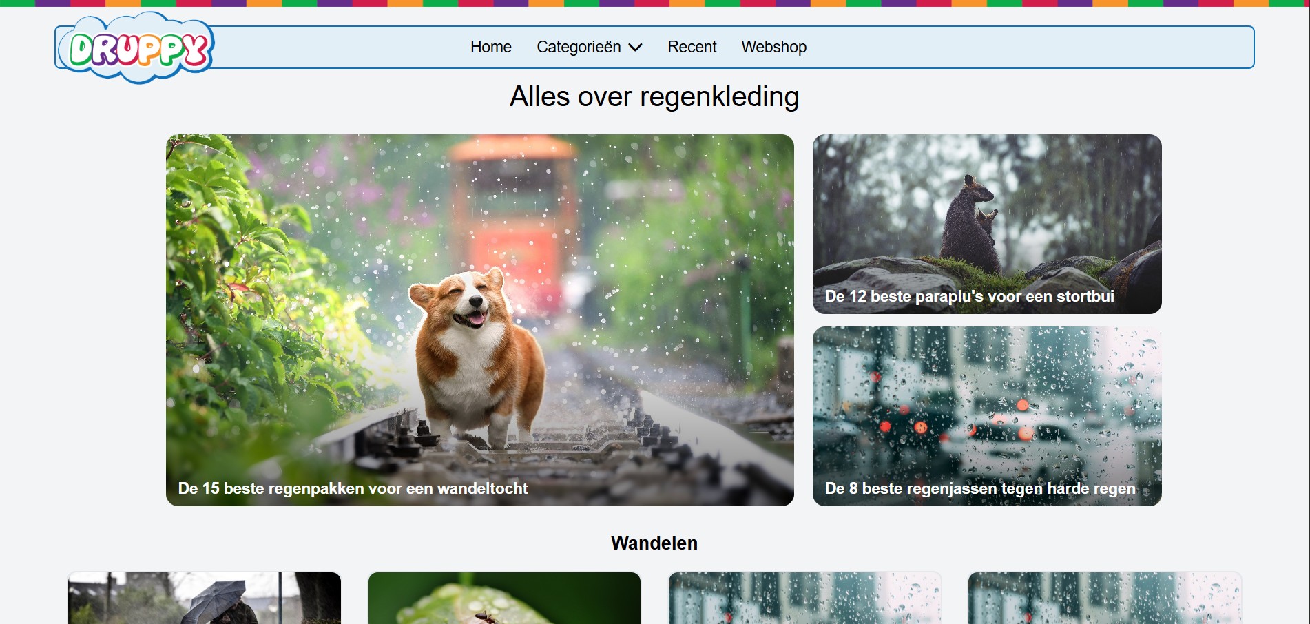 Screenshot van Druppy project